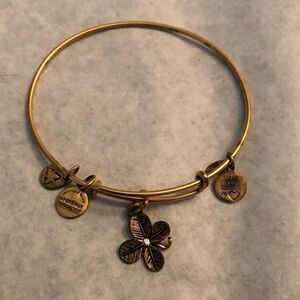 Alex and Ani Energy Bracelet